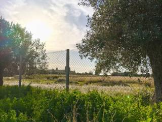 Terreno agricolo in vendita a trapani 