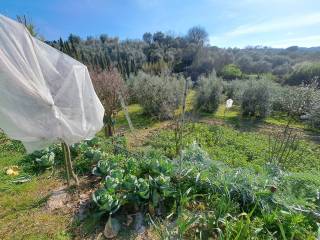 Terreno agricolo in vendita a lastra a signa via cesare pavese