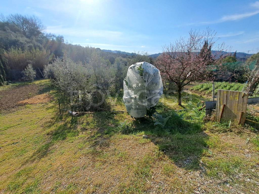 immagine annuncio 3 di 13