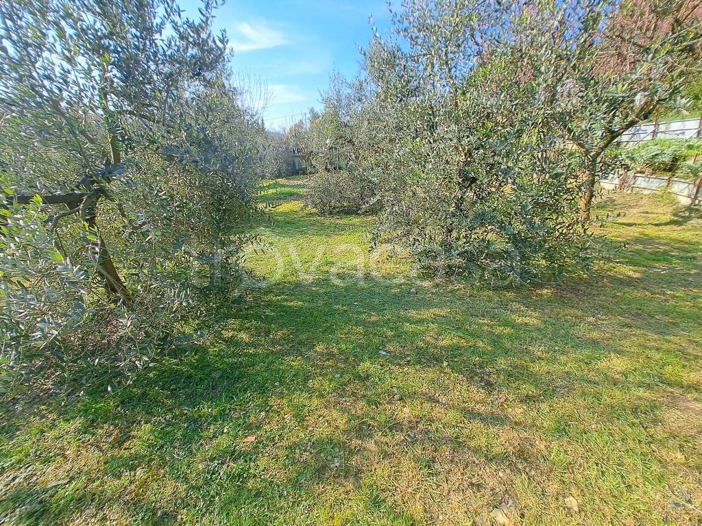 immagine annuncio 7 di 13