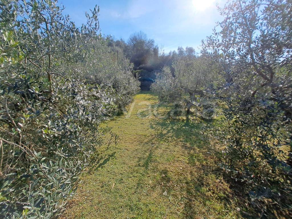 immagine annuncio 9 di 13