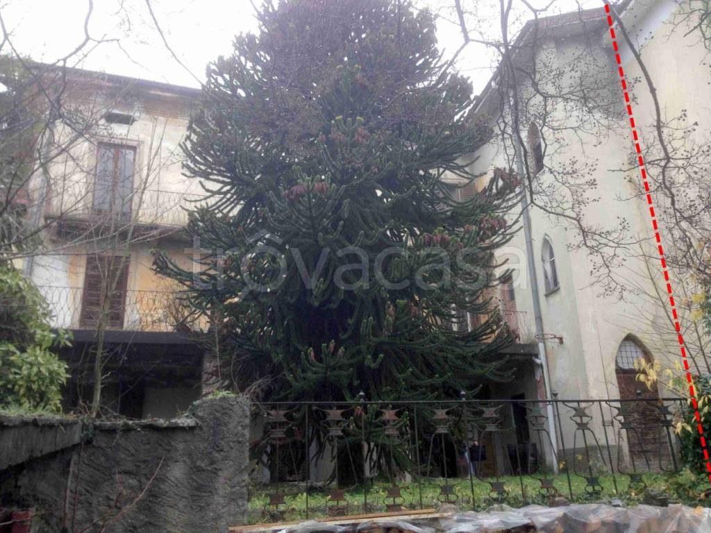 immagine annuncio 5 di 11