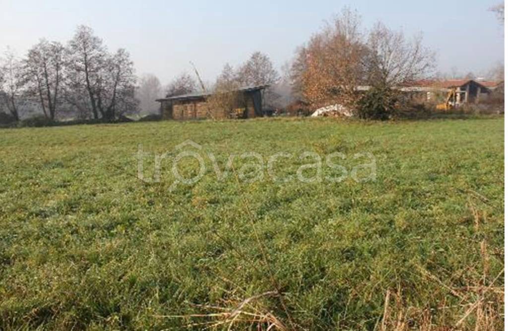 immagine annuncio 2 di 11