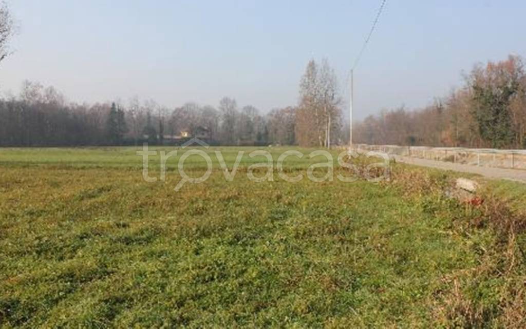 immagine annuncio 6 di 11