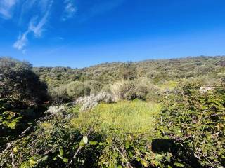 Terreno residenziale in vendita a budoni 