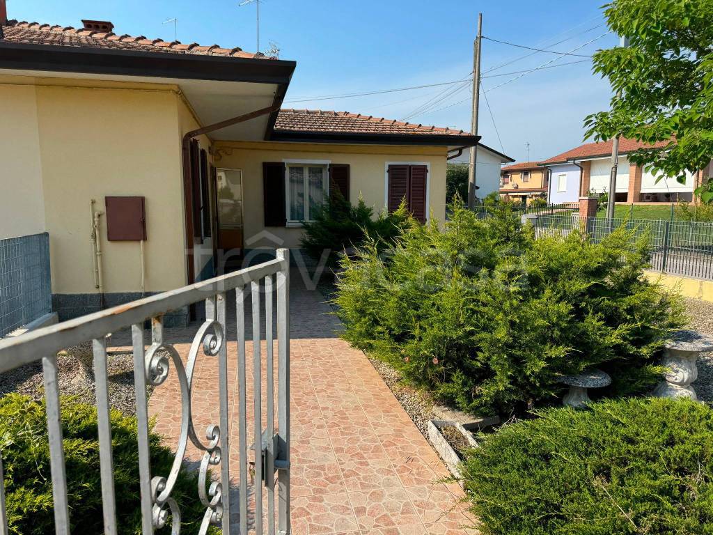 immagine annuncio 4 di 12