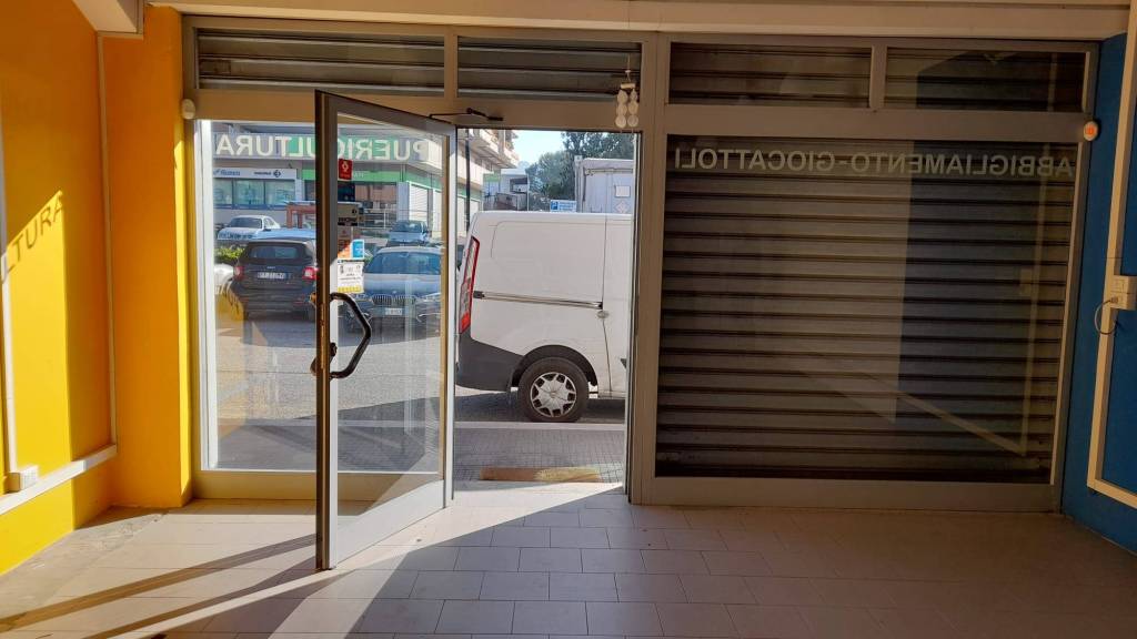 immagine annuncio 2 di 15