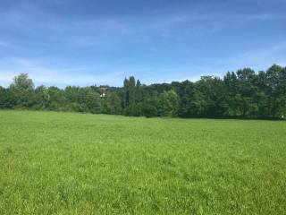 Terreno agricolo in vendita a pietrasanta 