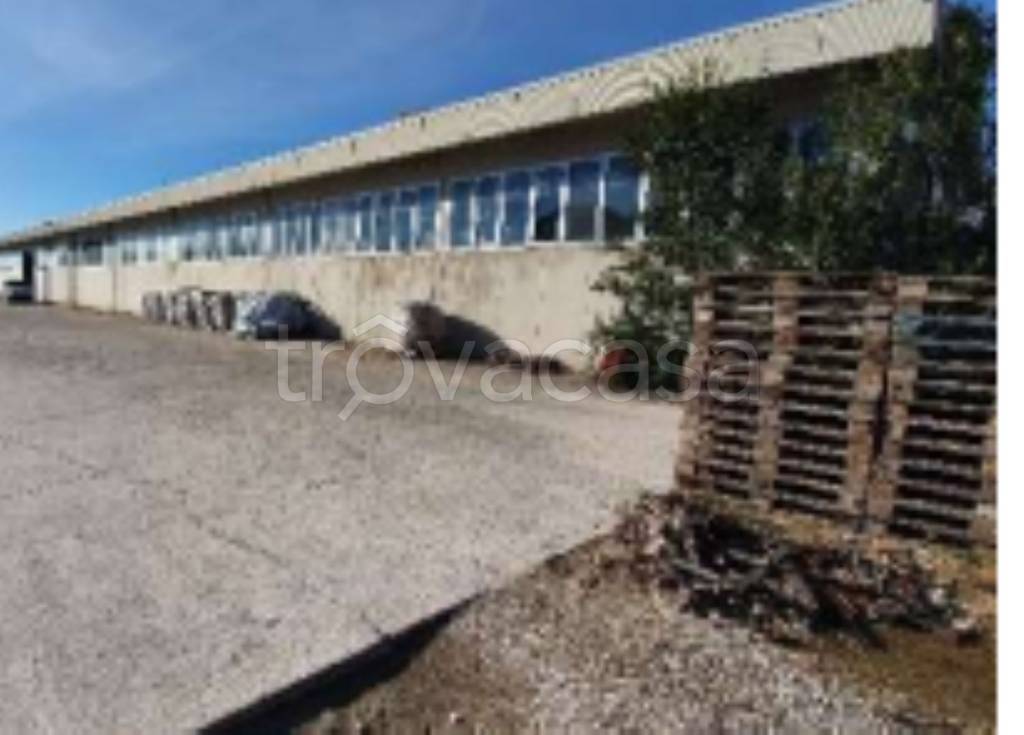 immagine annuncio 4 di 12