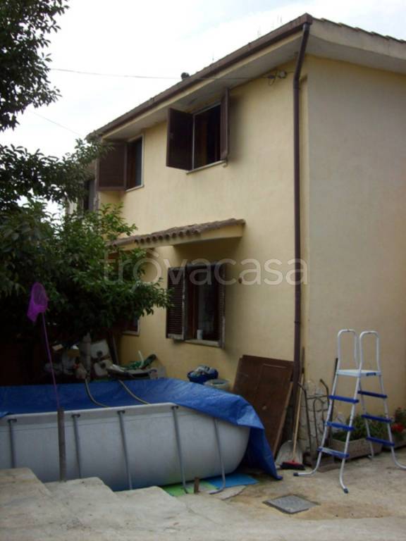 immagine annuncio 2 di 12
