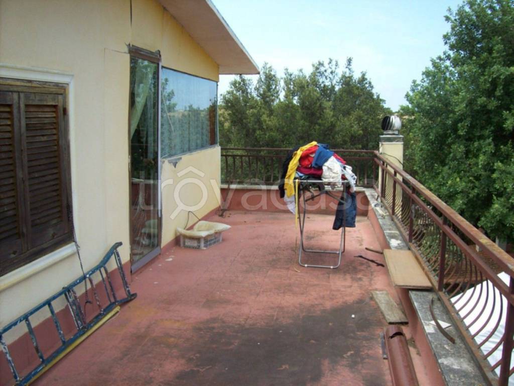 immagine annuncio 10 di 12