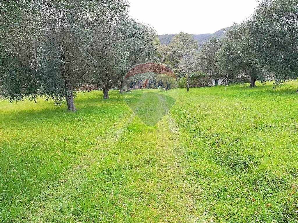 immagine annuncio 4 di 6