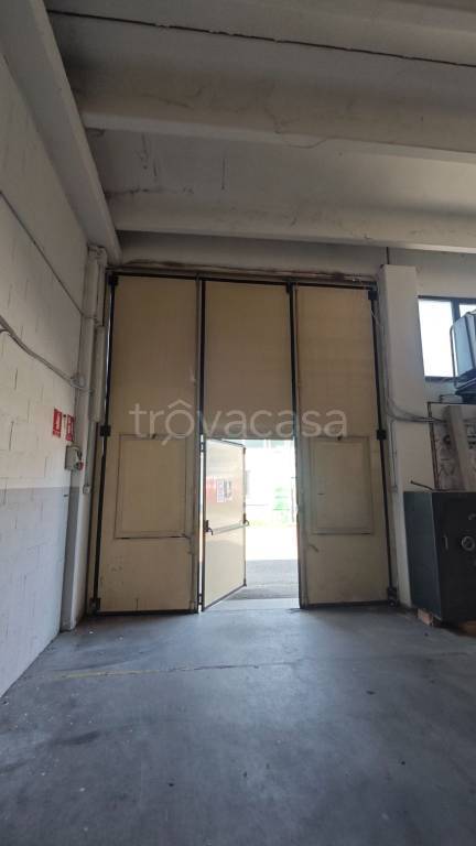 immagine annuncio 4 di 6