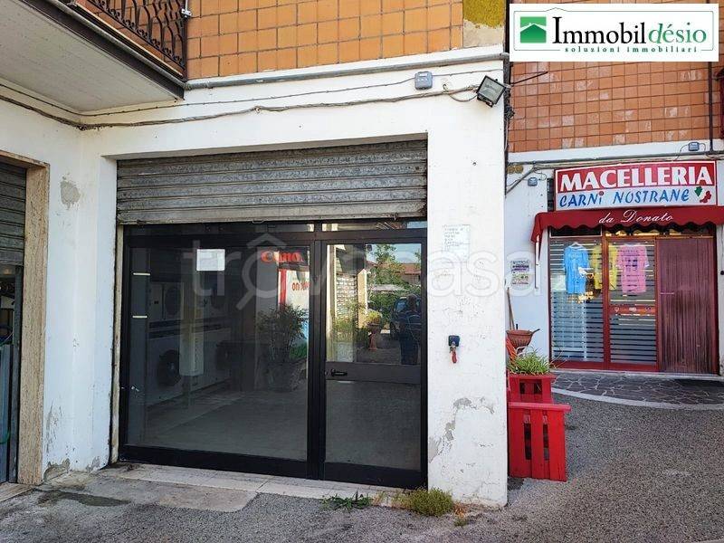 immagine annuncio 1 di 7