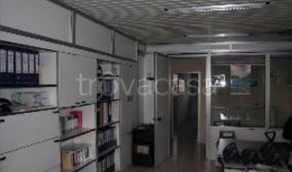 immagine annuncio 9 di 12