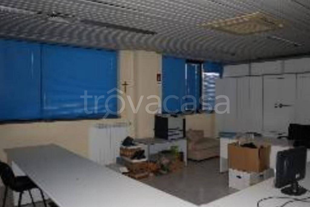 immagine annuncio 10 di 12