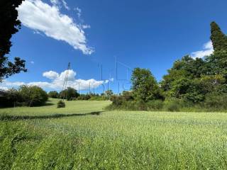 Terreno agricolo in vendita a umbertide 