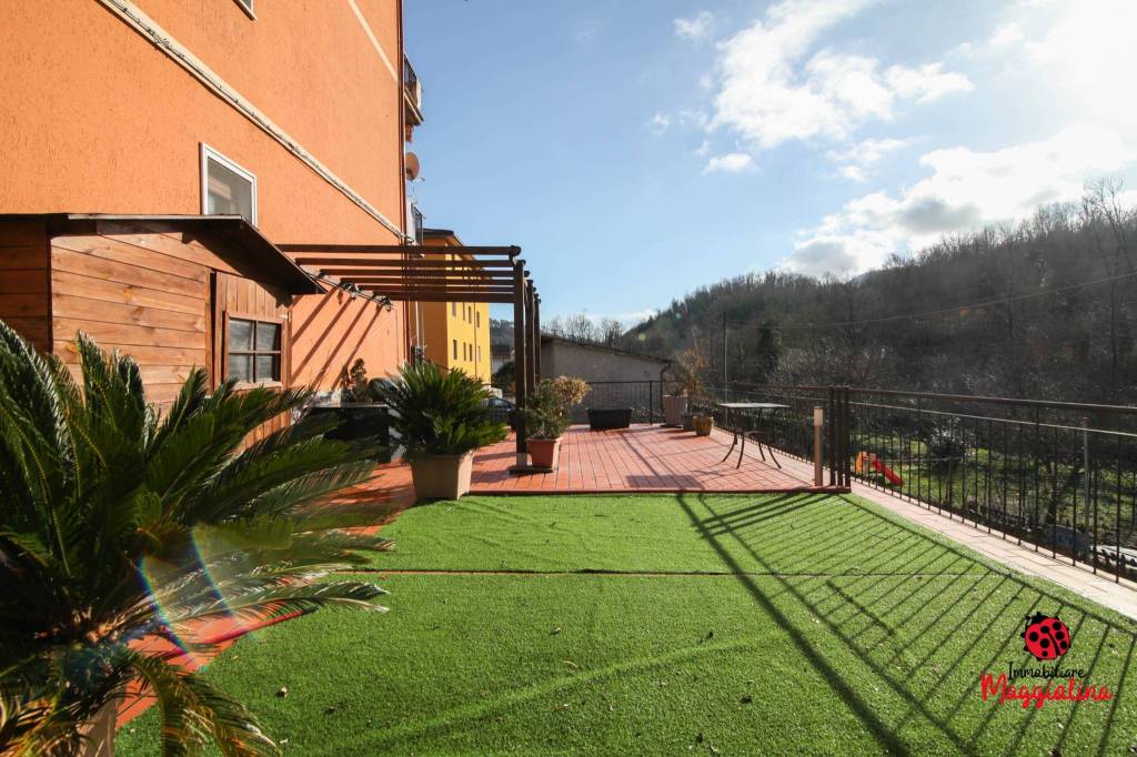 immagine annuncio 5 di 15