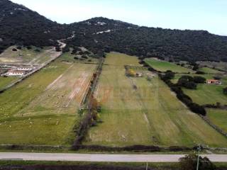 Terreno agricolo in vendita a siligo località lu saltu sp 96