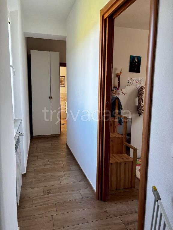 immagine annuncio 9 di 14