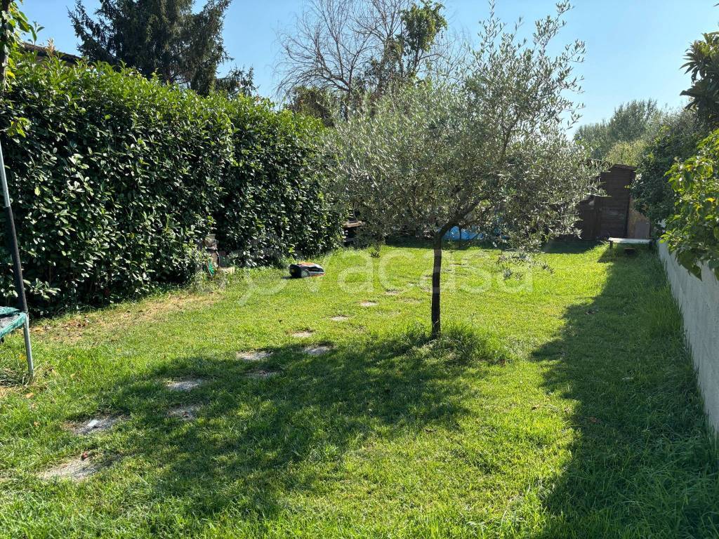 immagine annuncio 12 di 14