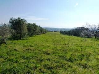 Terreno residenziale in vendita ad anguillara sabazia strada comunale san francesco