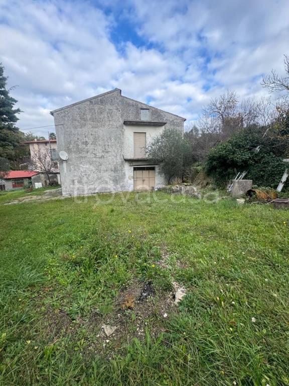 immagine annuncio 2 di 12