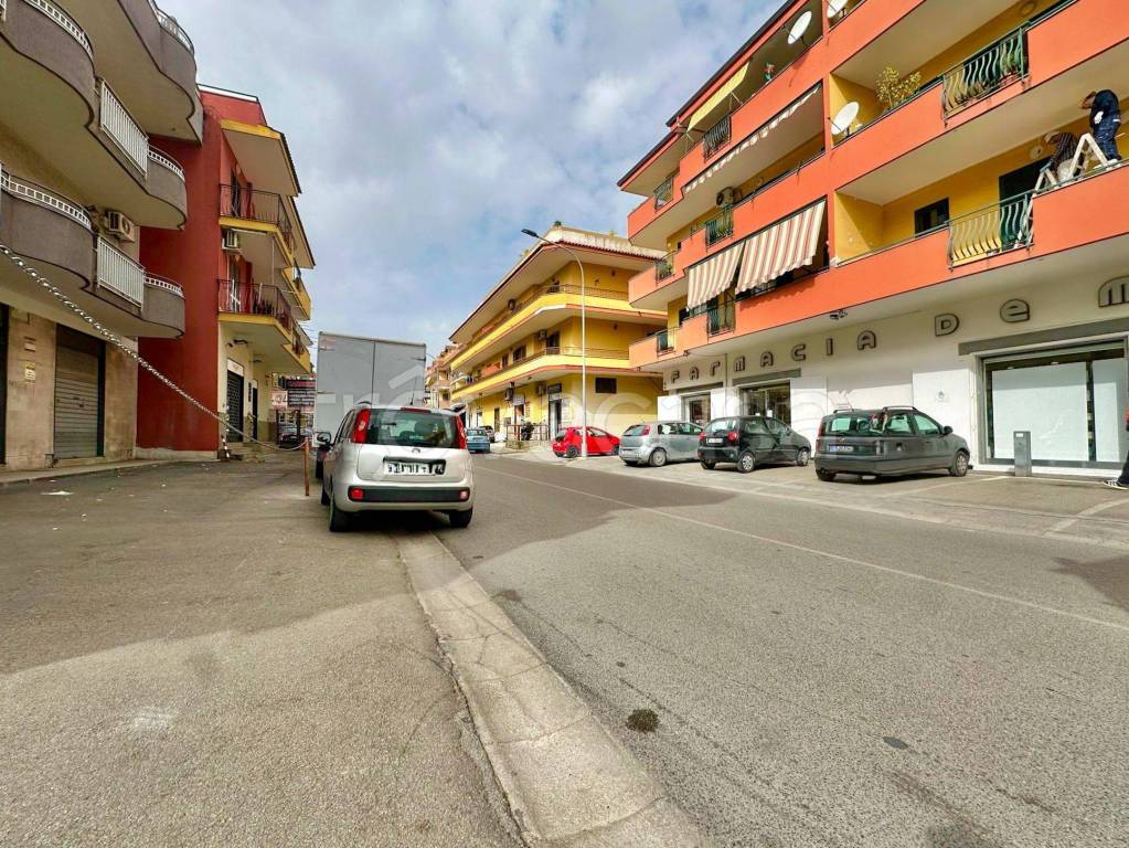 immagine annuncio 1 di 14