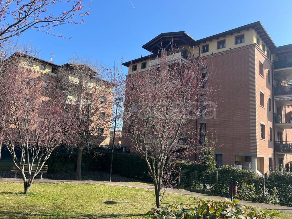 immagine annuncio 1 di 15