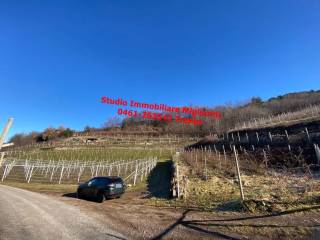 Terreno agricolo in vendita a trento frazione cortesano