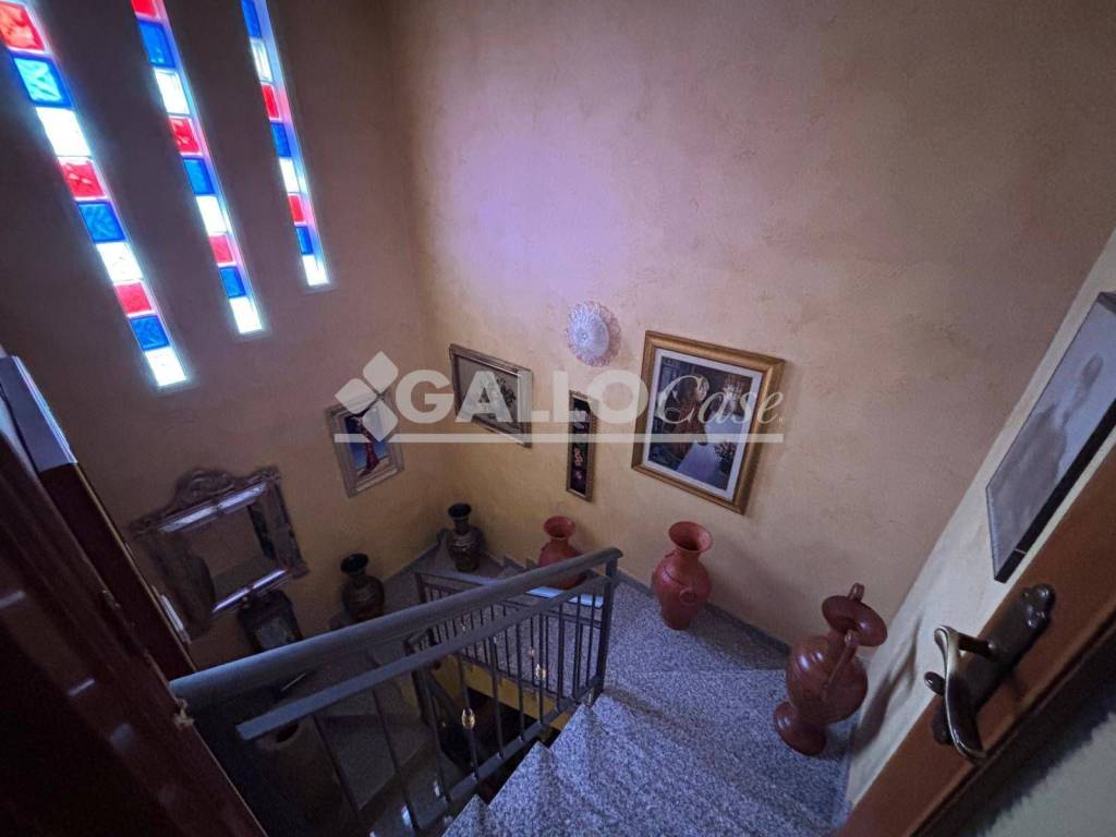 immagine annuncio 6 di 14