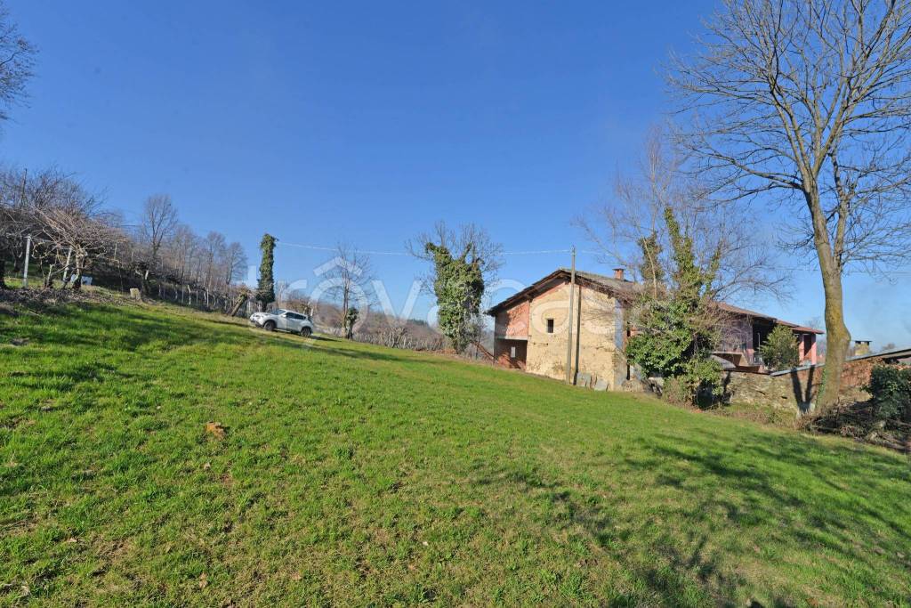 immagine annuncio 9 di 12