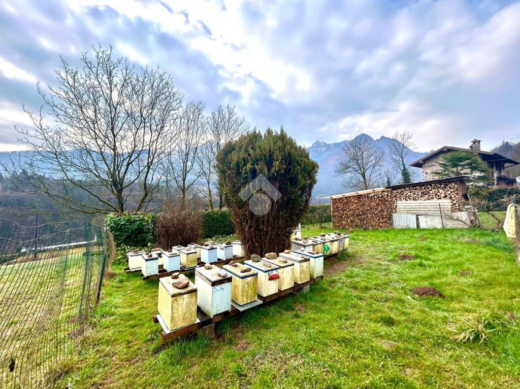 immagine annuncio 10 di 11