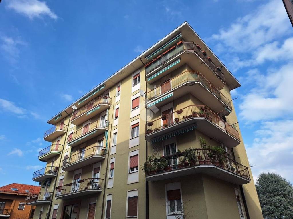 immagine annuncio 1 di 14