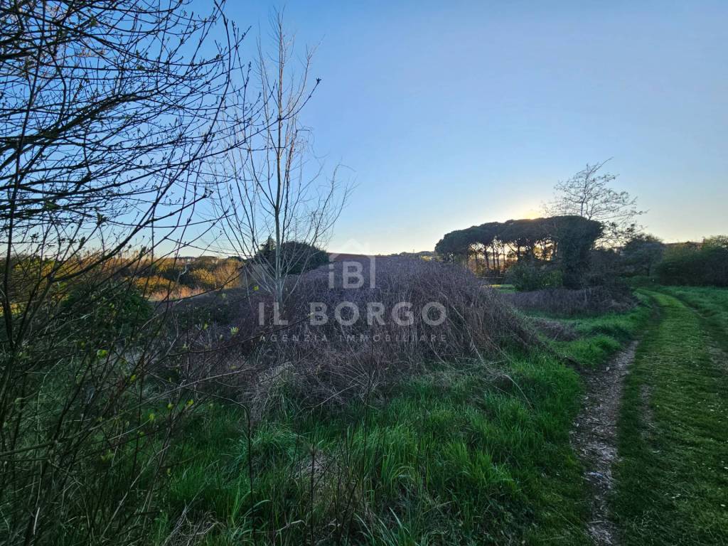 immagine annuncio 3 di 11
