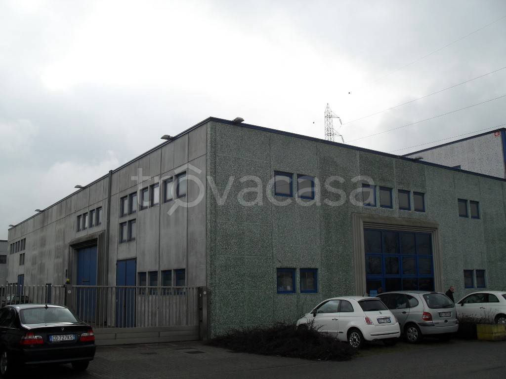 immagine annuncio 2 di 15
