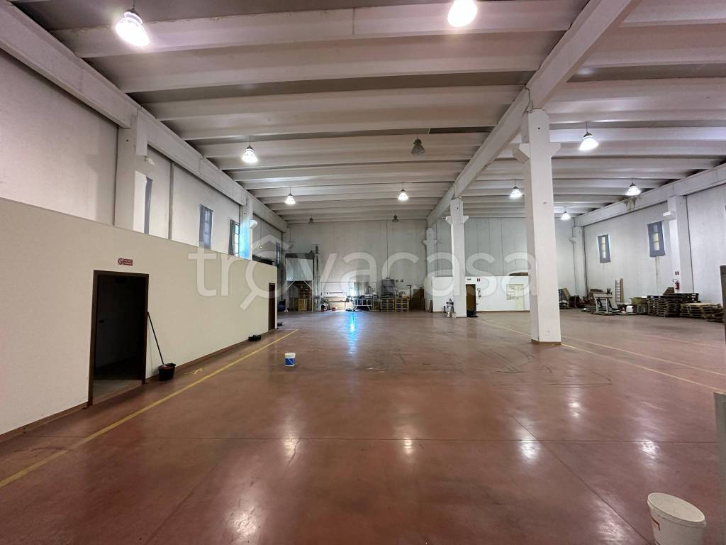immagine annuncio 5 di 14