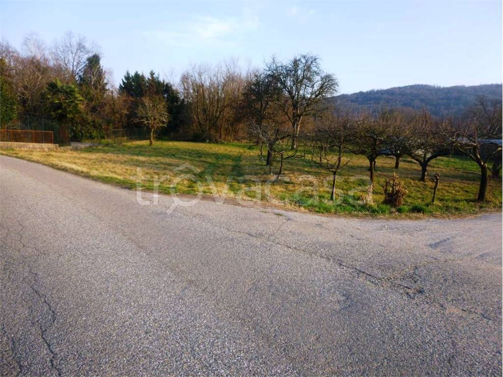 immagine annuncio 1 di 8