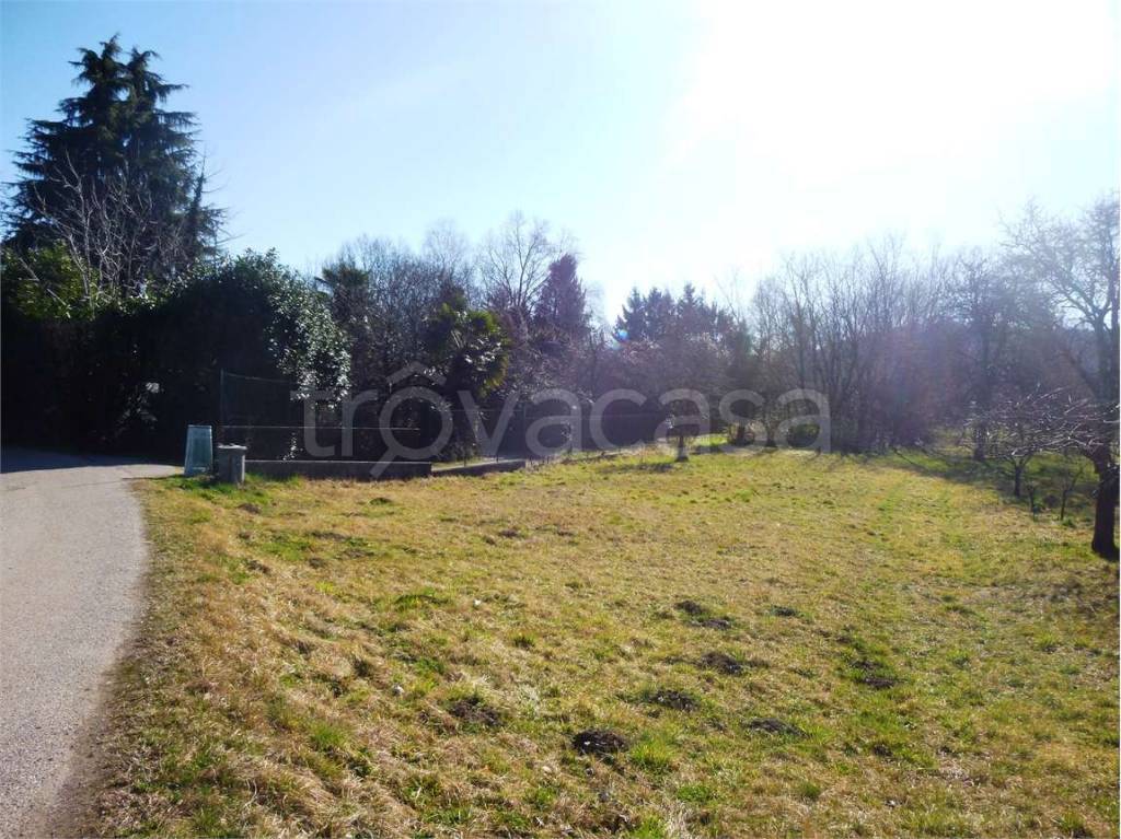 immagine annuncio 3 di 8