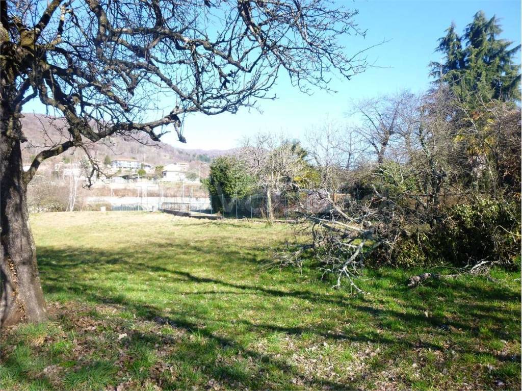 immagine annuncio 4 di 8