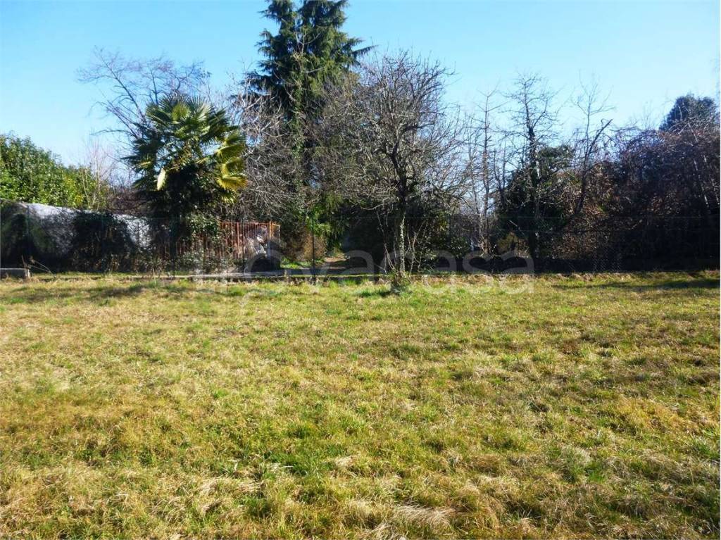 immagine annuncio 6 di 8