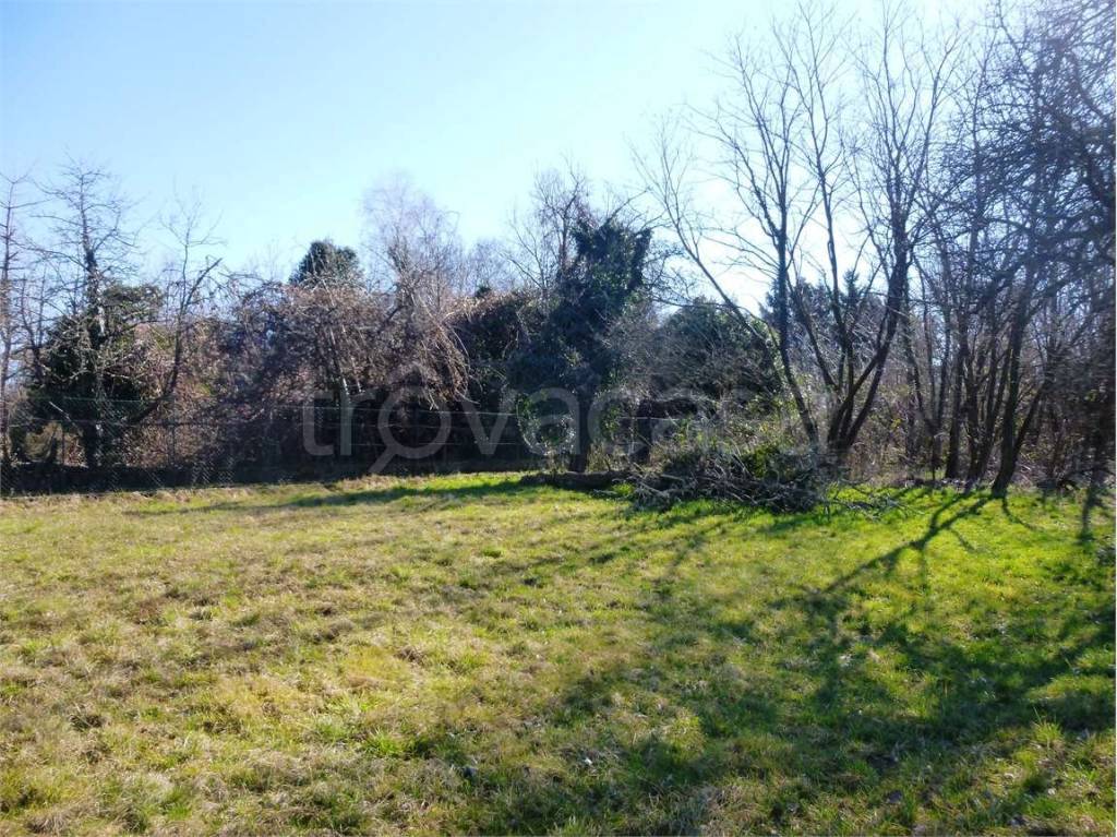 immagine annuncio 7 di 8