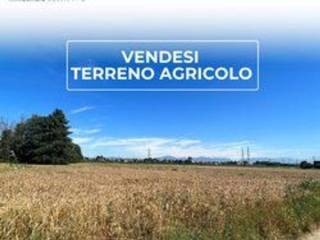 Terreno agricolo in vendita a cislago via cavalieri di vittorio veneto