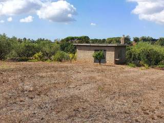 Terreno residenziale in vendita a lanuvio via delle camelie, 3