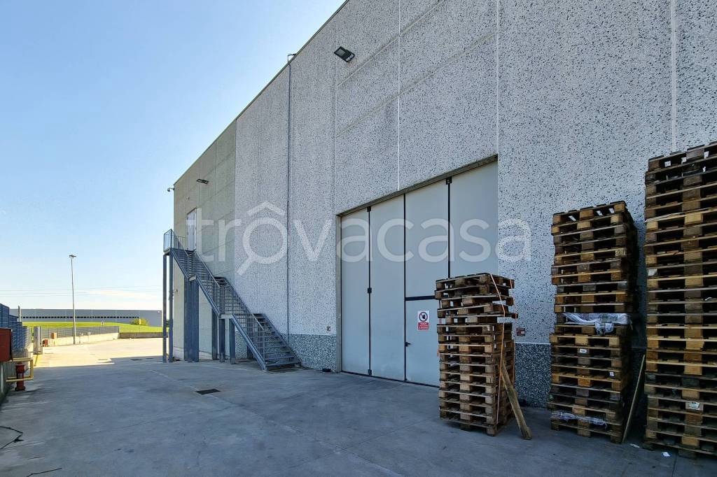 immagine annuncio 2 di 15