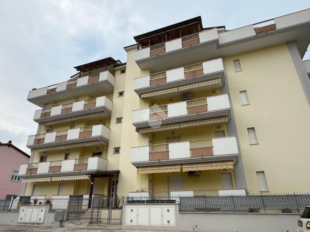 immagine annuncio 11 di 12