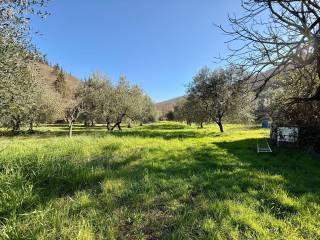 Terreno agricolo in vendita a calenzano via di signorina