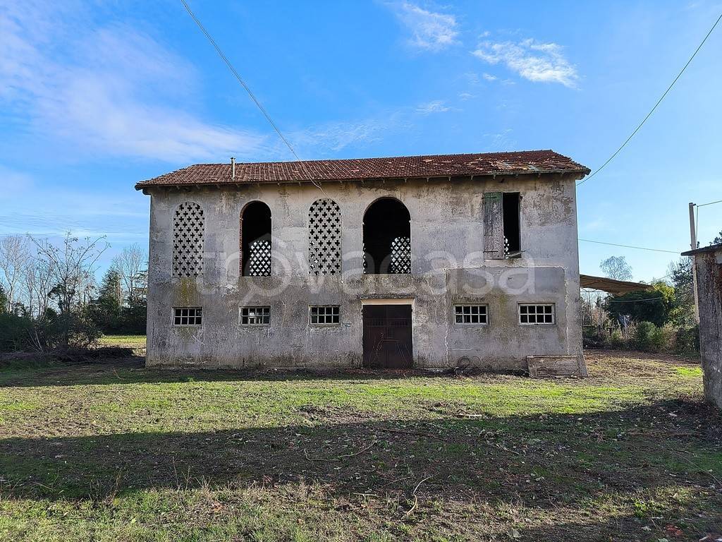 immagine annuncio 4 di 7