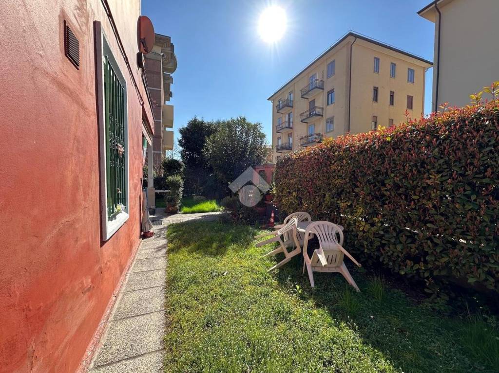 immagine annuncio 5 di 15