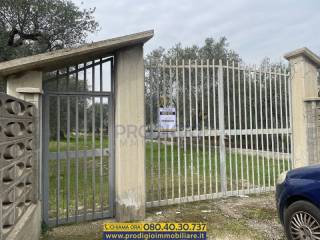 Terreno agricolo in vendita a bisceglie 